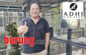 Adhi di markas ADHI BF Bali.