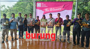 Juara 10 besar klasemen piyik bebas.