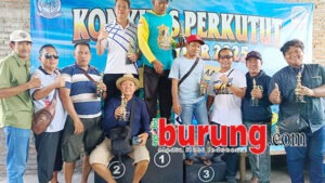 Juara kelas piyek bebas