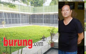 Sandy ITP. (Insert kandang terbaru ITP BF Tasikmalaya.