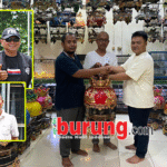 H Iwan TS Jombang Take Over Jawara Muda Red Bull Dari Aji WK Kalideres Jak-Bar Dengan Harga Fantasik