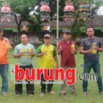 Jawara Gading Asmara & Cah Samin Berkuasa Dikelasnya di Latihan Dinila Pengda Bojonegoro