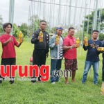 Jawara Airlanga Moncer Bareng bersama Antsena & Mr M-307 Di Latihan Dinilai Tarkam Galaxy Gresik