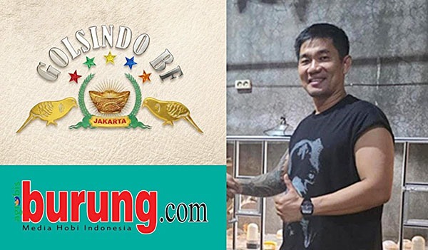 Aliung Golsindo Jakarta.