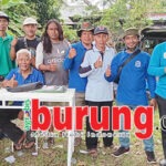 Jawara Red Bull “Pecah Telor” Empat Warna Di Latihan Dinilai Dewandaru Tulungagung, Jawara Sulur Mas & Deva Alam Moncer di Podium Utama