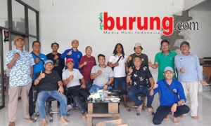 b5ecdecc-3a32-493a-9401-03dc227a9423