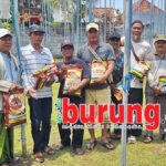 Tampil Perkasa Jawara Bergoyang & Harmoni Melejit Di Posisi Pertama Latihan Dinilai Paguyuban Mastrip Probolinggo