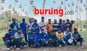 74039b57-4453-4976-bf19-f7c115568c23