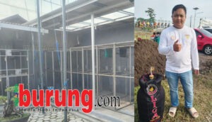 Agil Marsono & kandang Liga BF Cirebon.