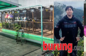 Panca Mojokerto, salah seorang pemain baru yang siap bikin gebrakan bersama produk WAT BF.
