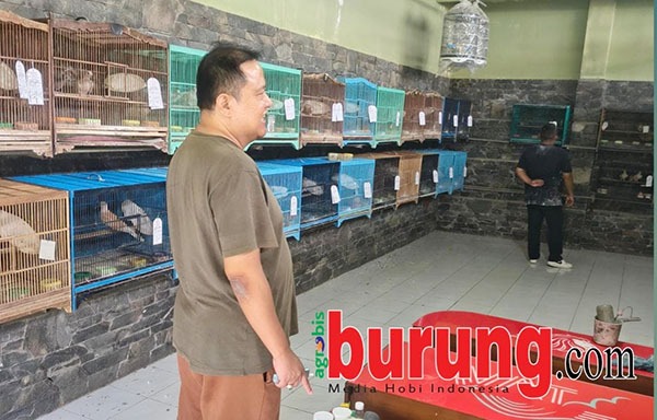 Produksi lancar & stok anakan selalu sold out