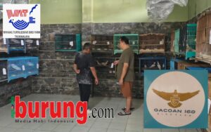 IMG-20260325-WA0021(1)