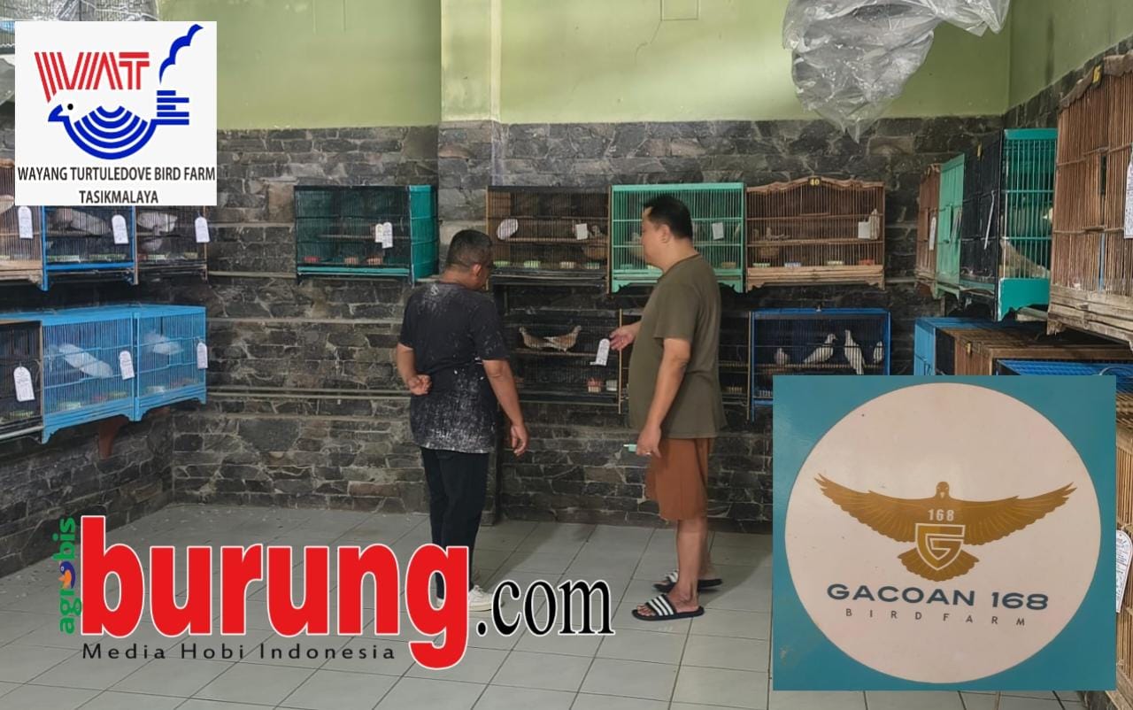 IMG-20260325-WA0021(1)