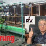 Lagi, Iswanto BSD Boyong 2 Trah Istimewa dari Markas WAT BF, Atlas K-333D Diproyeksikan untuk Perkuat Materi Kandang ISW BF & JnJ N.04 Disiapkan untuk Amunisi Lomba