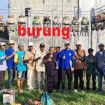 Sukses Di Gelaran Perdana LHS 2026, Bintang Krian & Tiga Jamrud, Dua Jawara Handal Milik HA Toha Krian Moncer Dipodium pertama