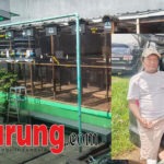 Alin Cakra BSD Booking 4 Kandang Unggulan WAT BF Tasikmalaya, Hendry WAT, “Beli Booking Lebih Murah Dibandingkan Beli Dengar”