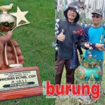 Jawara “Larisa” Produk Terbaik Andhi GKR Siwi Semarang Di Take Over Primarasa Team Bandung, Dealnya Istimewa