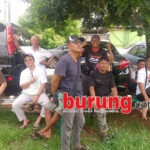 Latihan Dinilai Rabuan Nusa Bogor Semakin Ramai, Jawara Adeguer, Bintang Baru & Jokotole Naik Podium Pertama