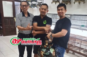 7858f267-f23b-4af1-9f2b-f264229a423d