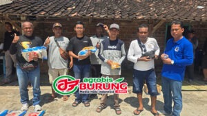 785ec6f7-b4c9-4438-a0e3-472bd00f118e