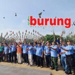 Pembukaan Hari Pertama LPI Istimewa & Sukses, Jawara Mutiara Timur, Talenta & Sadewa Merebut Podium Utama #1 LPI Cinta Satwa – Bupati Madiun Cup 2026