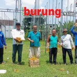 Caruban – Madiun Memang Joss, Jelang Sepekan LPI Sukses Laksanakan # 2 LP. Madiun 2026, Jawara Jelita, Bhodo & James Bond 19 Tampil Joss