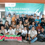 Erik Pangkas Rambut Dominasi Podium, Persaingan Sengit Warnai Kontes Merpati Hias IFPC Malang Raya