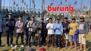 a9301cc5-c8df-44f0-bea8-54b1a05ea569