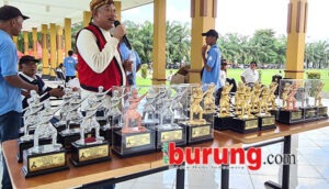 piala