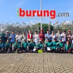 Pertarungan 3 Besar Mendebarkan, Jawara El Zero Miedo & Gorbacep Rebut poin perdana # 1 LPI Cinta Satwa Cup 2026 Di Caruban