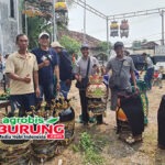 Duet Jawara Produk Grand Master BF, Beyede & Maung Sukses Ngorbit Bersama H Suci K’ros Bf  Surabaya