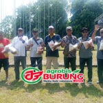 Jawara Sulur Mas, Jabal & Derajat Tampil Elegan dan Mampu Bertengger Di Podium Utama # 3 Liga Bumi Roban Tuban
