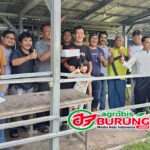 Jawara Comando, Pitu Likur & Ser Neser Buktikan Jadi Terbaik Di Latihan Dinilai Kythavin Bekasi