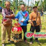 2 Kali Runner-Up di LPJB, Starla Orbitan Anyar Azis Sempruls Bekasi di-Take Over H. Wahyu Bekasi dengan Mahar Spesial