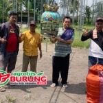 Jawara Tiara, Mutiara Pasific & Selendang Biru Tampil Di Podium Terbaik Latihan Dinilai Arisan Sukowono Jember