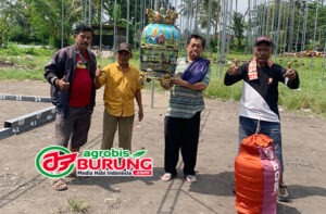 Kokjun juara 1 kelas Piyek yunior amunisi dari mutiara BF semua