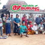 Jawara Mahameru, K- 8 & Sakura Madura Berbagi Podium di Latihan Dinilai Halal Bihalal Menara 2000 Bf Palengaan Pamekasan