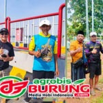 Prima Rasa Team Bandung Hattrick Juara 1 Akhir Pekan di Pamekasan & Ramaikan Persaingan  Papan Atas Klasemen LPJB-Batavia-LPJG-LPM-LPI