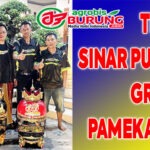 Cetak Hattrik, Jawara Belia Arjuna Milik H Rian Sinar Putra Group Pamekasan Selalu Meraih Prestasi Istimewa di Podium Pertama