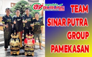 TEAM