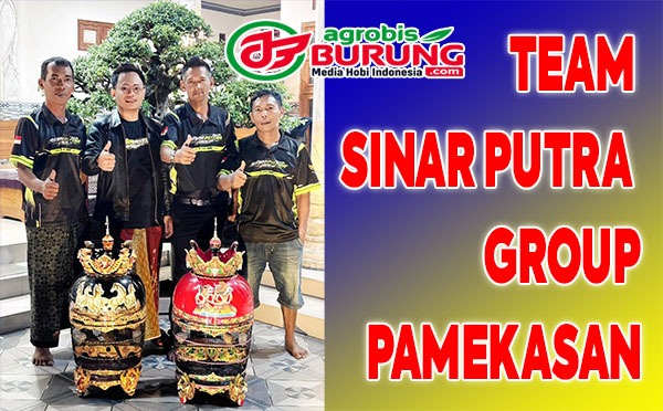 TEAM