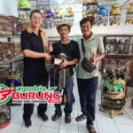 Transaksinya fantastik, Joni Manik “Paronama BF” & Sinta Brata “Bintang Agung BF” Bandung Borong Trah Unggulan Atlas BF Semarang