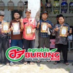 Ngerek Bareng Dibarengi Sarasehan Juri, Jawara Dragon Star & Singayasa Tampil Menawan di Latihan Dinilai Pengda Kebumen