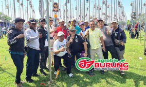 juara 1 pb
