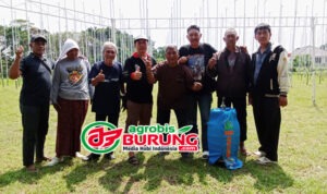 semaranggg