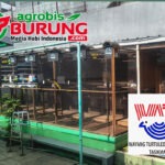 Spesial Update Formasi 69 Kandang Terbaru WAT Bird Farm Tasikmalaya, Mei 2026