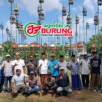 Peserta Semakin Ramai, Jawara Joko Tingkir Buktikan Kesaktiannya, Pandan Wangi & Kalakau Joss di Latihan Dinilai Pangonseyan Pengcam Torjun Sampang