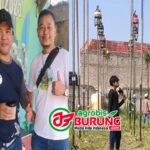Jawara Tombo Ati, Stallion & Pajero Moncer Bareng di Latihan Dinilai Kythavin Bekasi