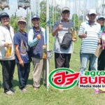 Latihan “Tarkam Galaxy” Gresik Jadi Ajang Warming-up LPI Cirebon, Jawara Umar Bin Khatab & Trimurti Melesat ke Podium Terbaik