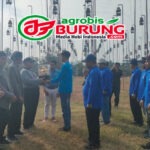 Pesertanya “Meledak” & Full Blok, Jawara El Zero Miedo, Sandhur, Dragon Star & Sadewa Tampil Istimewa di Paku Alam Cup 2026 Bantul DIY